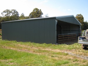 IMG 0303