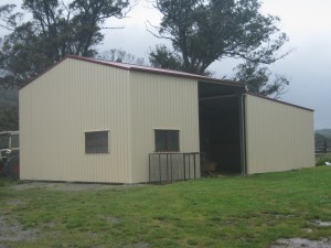 IMG 0308