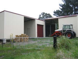 IMG 0312