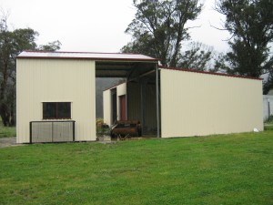 IMG 0315