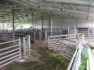 IMG 0552