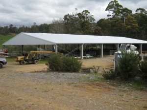 IMG 0558