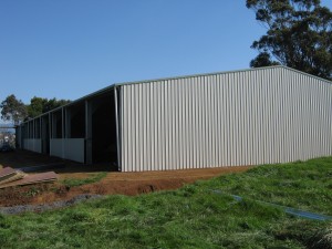 IMG 0560