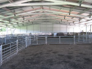 IMG 0590