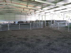 IMG 0592