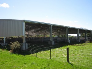 IMG 0595