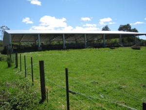 IMG 0596