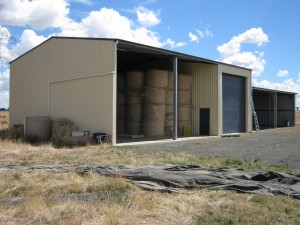 IMG 0618