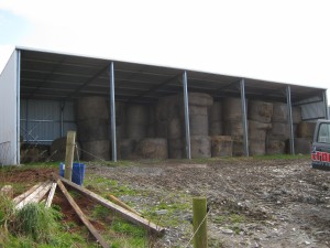 IMG 0779