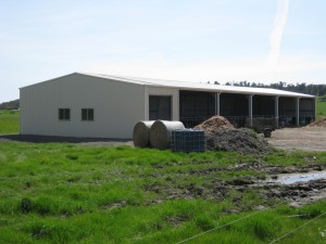 IMG 0828 