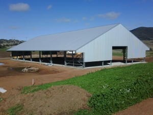 Tamworth Large A frame open 1 